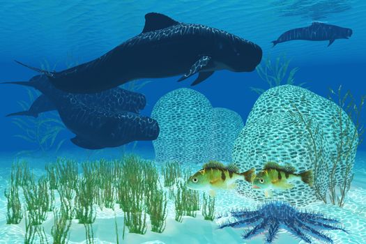 Two Rockfish watch warily as a pod of Pilot whales swim past a coral reef and a Crown of Thorns starfish.