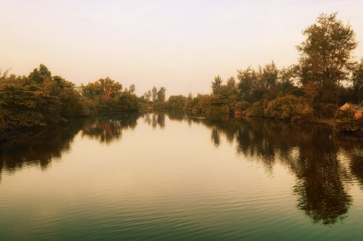 Various tropical trees along calm river at sunrise