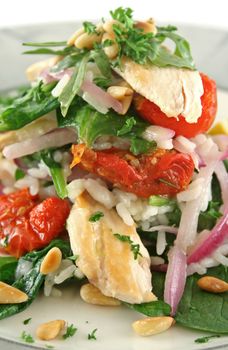 Chicken and pine nut stack with sundried tomatoes, baby spinach and risotto.