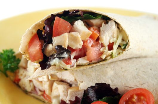 Healthy chicken and salad wrap ready to serve.