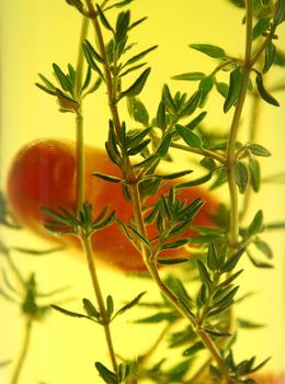 Red chillies and thyme preserved in a bottle of olive oil.