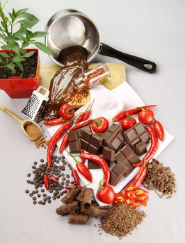 Delicious dark chocolate with a selection of different chilies and peppers with a chili plant.