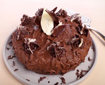 Chocolate cake with choc chips and white and dark chocolate leaves.