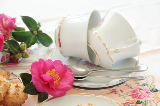 Beautiful camellias with two vintage teacups laying on saucers.