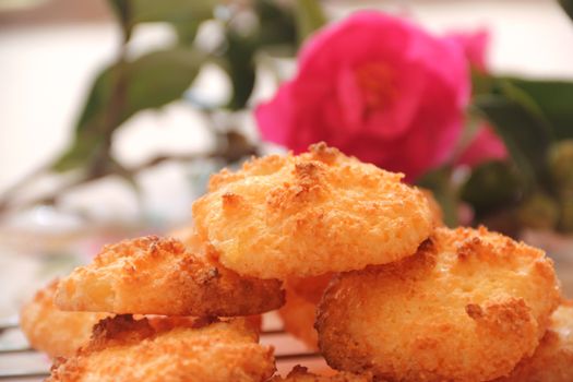 Fresh baked coconut macaroons ready to serve with a camellia.