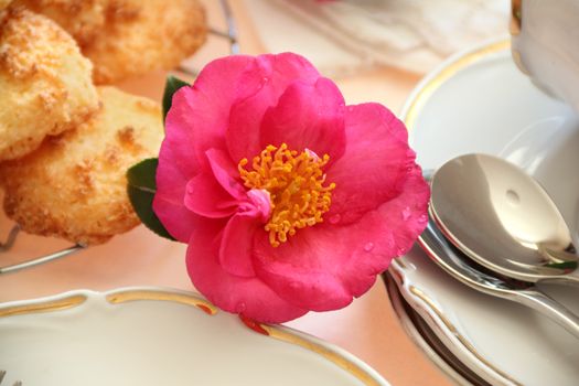 Beautiful camellia with water droplets as a decoration on the food table.