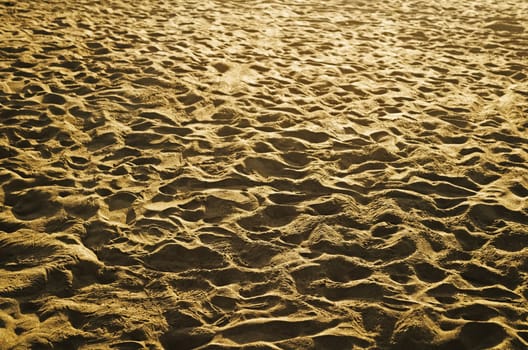 Texture of beach sand at sunrise