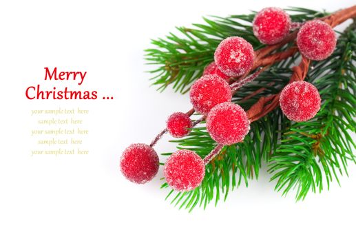 Christmas red berries with copy space, on  on white background
