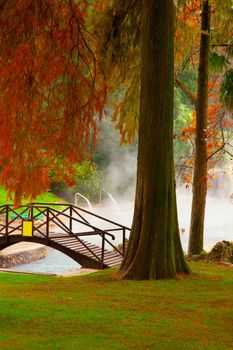 Little bridge over a little lake in between trees