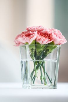 Bouquet of carnation flowers in glass vase