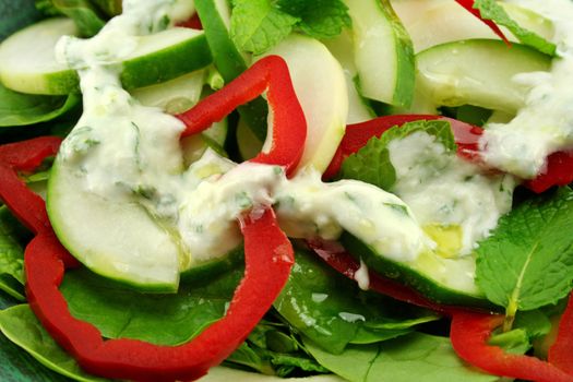 Delicious cucumber and mint salad with red peppers and a coriander yogurt.