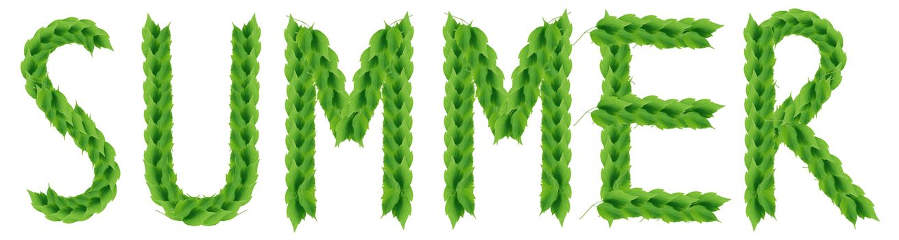 Word SUMMER made from green leaves on white background