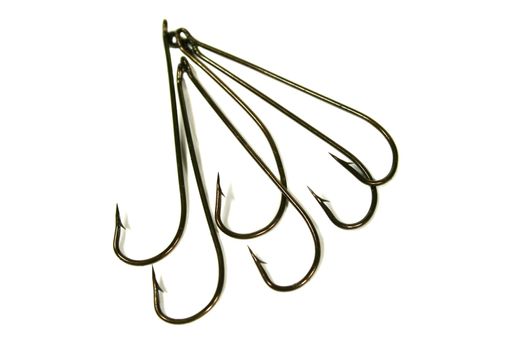 Arrangement of long shanked fish hooks.