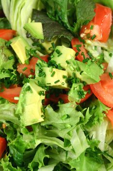 Delightful tossed salad with fresh avocado.