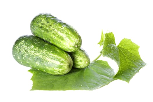 Cucumbers on white background with green leaf and. Isolated over white.