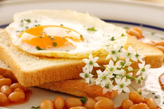 Fried on toast with garlic chive flowers and baked beans.