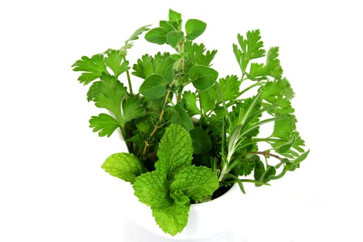 Bunch of freshly picked herbs from the garden.