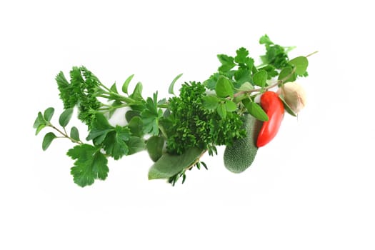 Garland of fresh herbs straight from the herb garden.