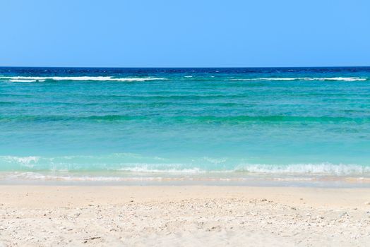 Magnificent view on a beach with corals and the blue sea under clear sky in the summer