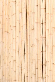 Wooden yellow bamboo fence vertical textured wall background