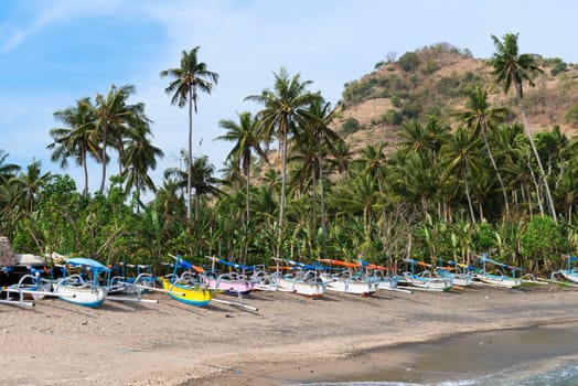 Traditional wooden fishing boats on a beach with green palms and blue sky on background. Bali, Indonesia. 