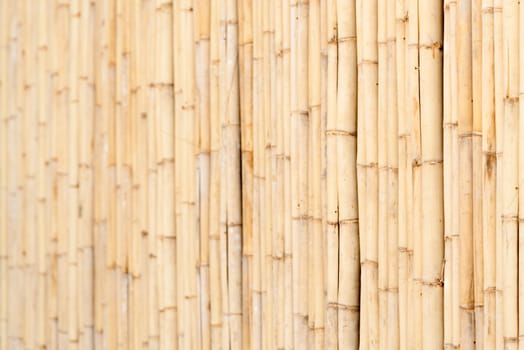 Wooden yellow bamboo fence horizontal textured wall background