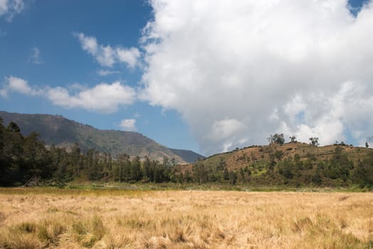 Dried mountain lake covered with yellow grass on a background of hills