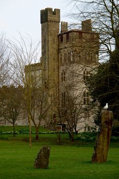  Bute park whit castle in the background, Cardiff, Wales. UK.