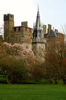 Bute park whit castle in the background, Cardiff, Wales. UK.