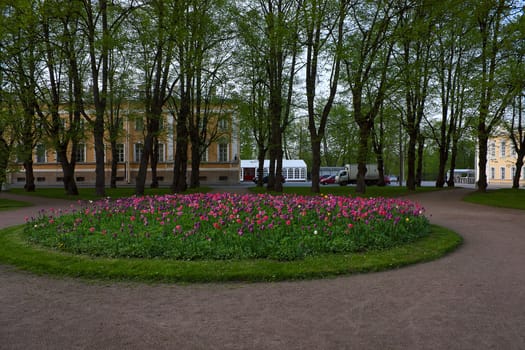 View of flower beds  in   Park, Peterhof, Russia.