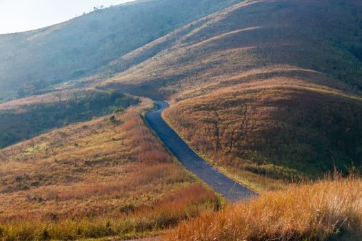 Narrow tarred road around wildlife reserve mountain hillside terrain for scenic landscape contrasts.