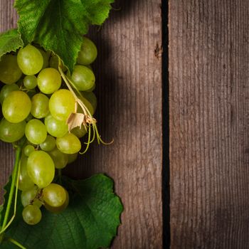 Grapes with leaves on the wood background closeup