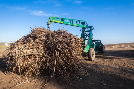 Sugar-cane bundle harvest chain lifted by tractor hoist on trucks
