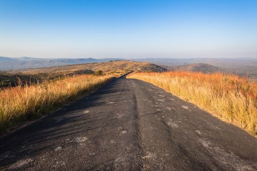 Narrow Tarred road across rugged terrain in thick grass vegetation in wildlife park reserve