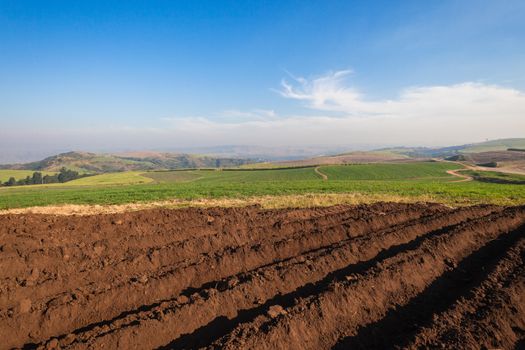 Earth soil plowed ready for planting crops in new season of farming agriculture.