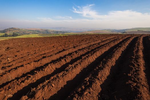 Earth soil plowed ready for planting crops in new season of farming agriculture.