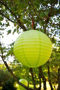 Paper Chinese lanterns are used as decorations or decor for this classy wedding reception.