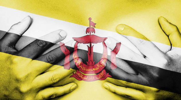 Upper part of female body, hands covering breasts, flag of Brunei