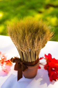 This fall themed wedding has a bundle of wheat as decoration for the ceremony and reception.