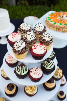 These cupcakes at a wedding reception are ready for the guests to enjoy after the cake cutting ceremony.