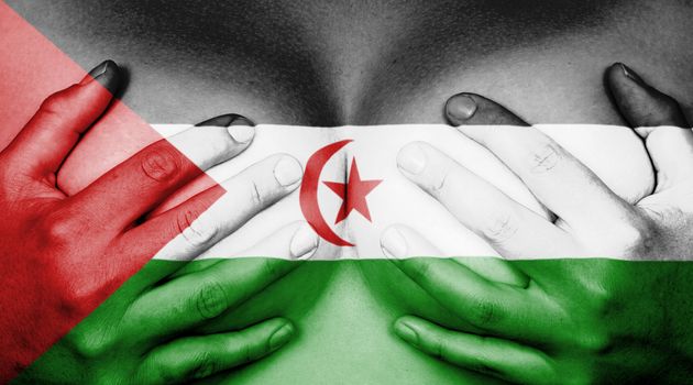 Upper part of female body, hands covering breasts, flag of Western Sahara
