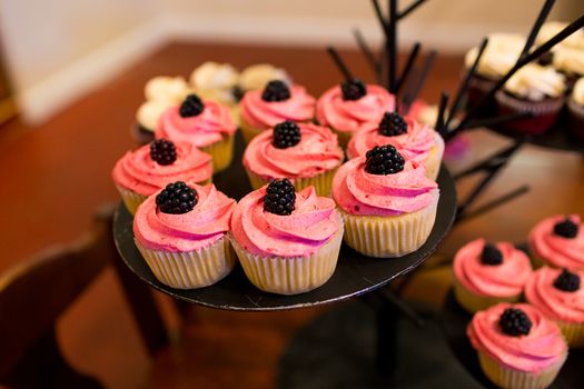 These cupcakes at a wedding reception are ready for the guests to enjoy after the cake cutting ceremony.