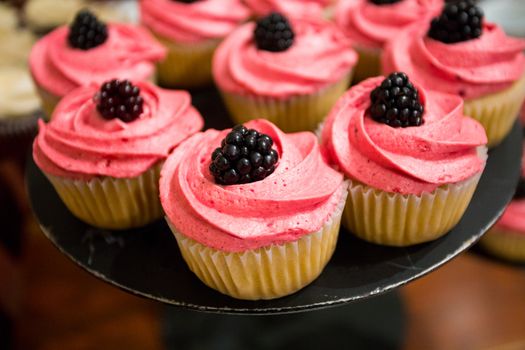 These cupcakes at a wedding reception are ready for the guests to enjoy after the cake cutting ceremony.