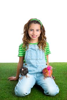 breeder hens kid girl rancher farmer playing with chicken chicks white background