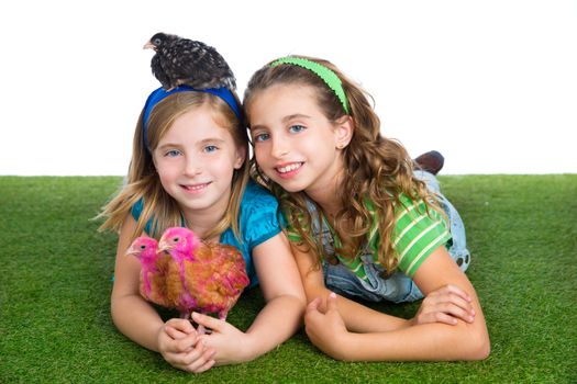 breeder hens kid sister farmer girls playing funny with chicken chicks on white background