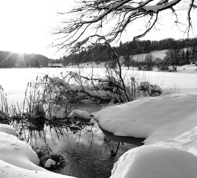 winter landscape with snow