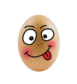 one  brown egg on white background .