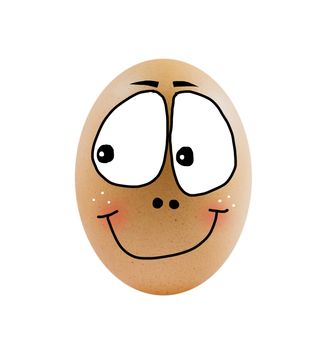 one  brown egg on white background .
