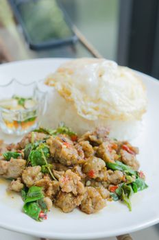 close up stir fried minced pork with chili , sweet basil served with steamed rice,  fried egg and chili sauce on dish