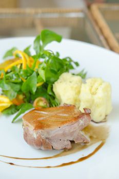 Roasted duck breast  served with mashed potatoes , fresh salad  on white plate 